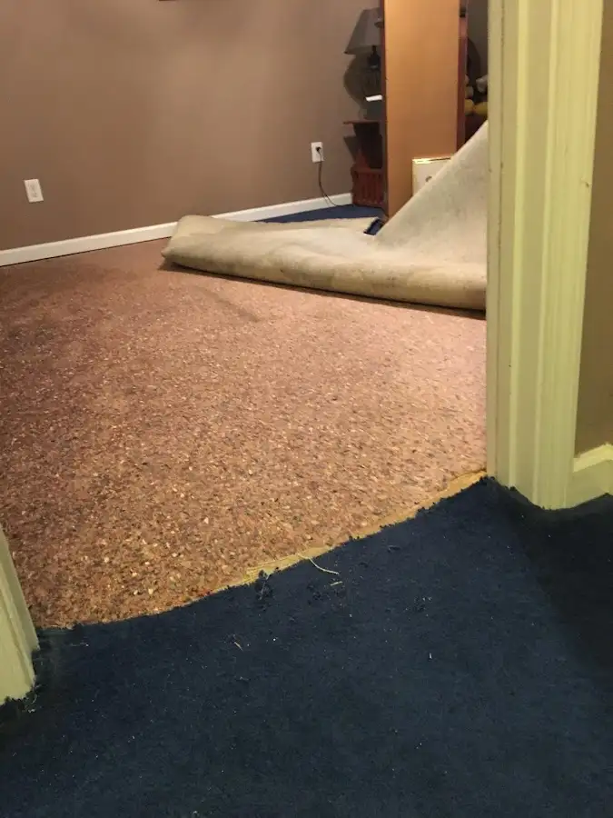 Carpet pad removal revealing water damage during Water Mitigation Services in Simsbury