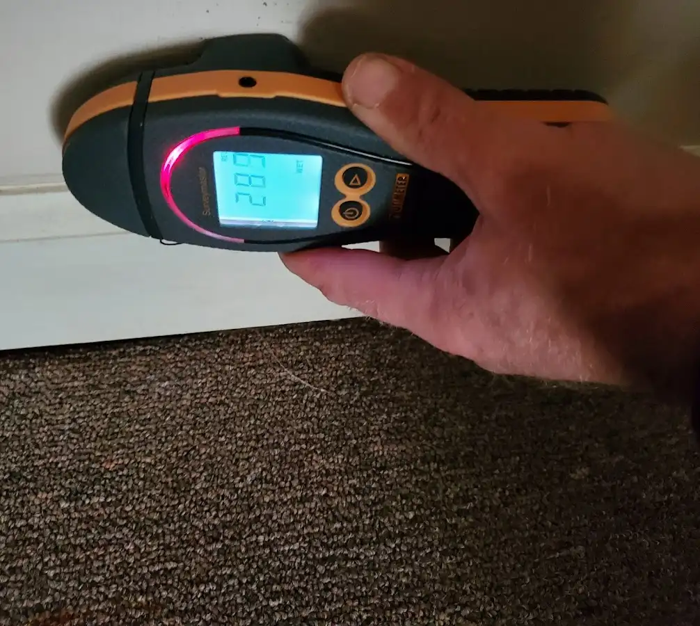 Moisture detection at baseboard during Sewage Cleanup & Sanitation in Simsbury